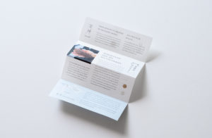 KIT BLUE 海参 MIYAHI